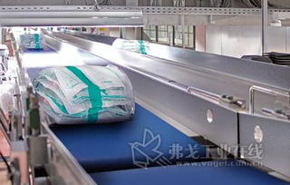 智能分揀與柔性輸送 現(xiàn)代物流技術(shù)的雙重引擎